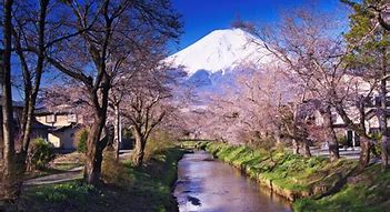 Image result for Japan Nature Park Photographs