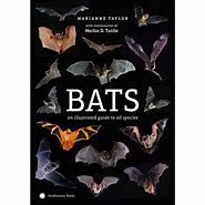 Image result for Bats of the World