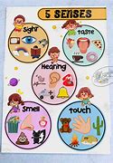 Image result for Five Senses Body Parts Unlabeled
