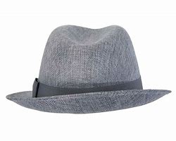 Image result for Gray Fedora Hat