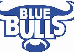 Image result for Blue Bulls Rugby