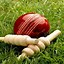 Image result for Cricket Phone Wallpapers HD