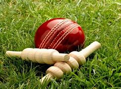 Image result for Cricket Images Bat Ball with Green Grass