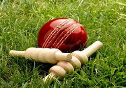 Image result for Cricket Bat HD Images