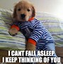 Image result for Thinking of You Animal Memes