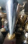Image result for Full Pitch Cricket Trophy