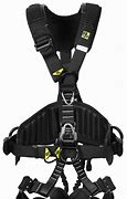 Image result for Safety Harness 2 Lanyard