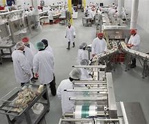 Image result for Packaging Area Food Industrial