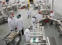 Image result for Food Industry
