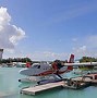Image result for DHC-6 Aircraft