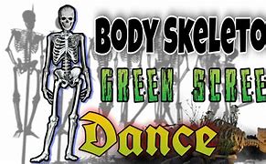 Image result for Skeleton Greenscreen