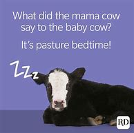 Image result for Baby Animal Jokes