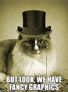 Image result for Fancy Girl Cat Meme