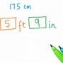 Image result for 5'3 Feet in Cm