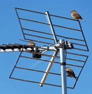 Image result for Two DB Antenna Signal Booster