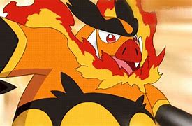 Image result for Fighting Pokemon