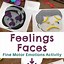 Image result for Emotions Pictures for Preschool
