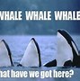 Image result for Bloated Whale Meme