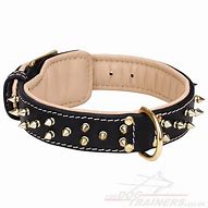 Image result for big leather dogs collar spiked