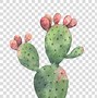 Image result for Cacti Clip Art