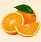 Image result for Michal Mandarin Orange