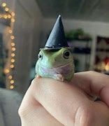 Image result for Swaggy Frog