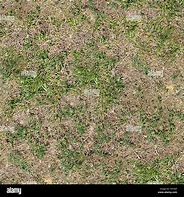 Image result for Sandy Grass Seamless Texture