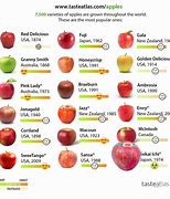 Image result for One Apple vs Two Apple's