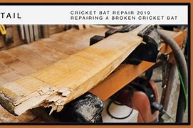 Image result for Broken Cricket Bat