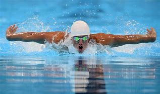 Image result for Swimming Styles