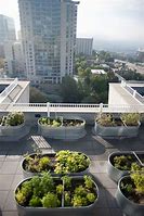Image result for Green Roof Seattle