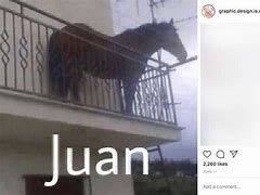 Image result for juan horse meme