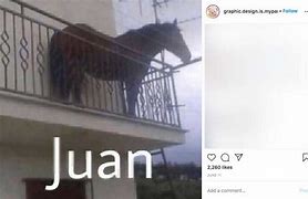 Image result for Another Juan Meme