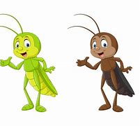 Image result for Female Cricket Insect Cartoon