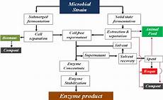Process Flow Chart For Enzyme Production Download