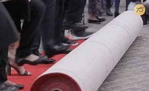 Image result for Red Carpet Roll Out