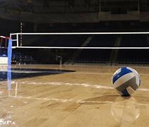 Image result for Net and Court of Volleyball