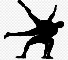 Image result for Wrestling Sport