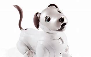 Image result for Aibo Feature