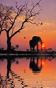 Image result for South Africa Sunset