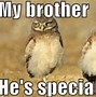 Image result for Weird Brother Meme