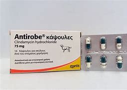 Image result for antiy�roe