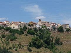 Image result for alcocarra