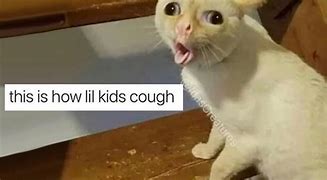 Image result for Wheezing Cat Meme