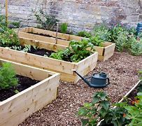 Image result for Raised Bed Vegetable Garden Planting Guide