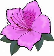 Image result for Flower Tree Clip Art