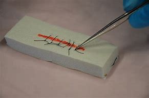 Image result for Suture Cutting Scissors