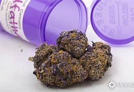 Image result for Purple Weed Cartoon