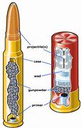 Image result for Ammunition Structure Case Primer Powder Bullet