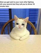 Image result for Pizza Cat Crying